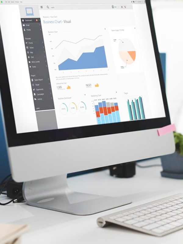 ERP Development Services company