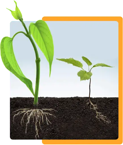 Grow Your Business